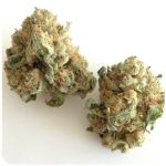 Шишки "White Widow" (Белая вдова) Гидропоника - Бошка VHQ в Приморско-Ахтарске Шишки "White Widow" (Белая вдова) Гидропоника - Бошка VHQ в Приморско-Ахтарске