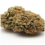 Шишки AK47 (Гидропоника, Бошка) VHQ в Приморско-Ахтарске Шишки AK47 (Гидропоника, Бошка) VHQ в Приморско-Ахтарске